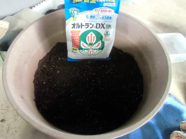 移植する土には、あらかじめ防虫剤を混ぜておきます